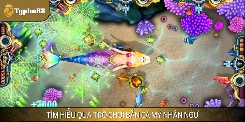 Tìm hiểu qua trò chơi bắn cá Mỹ Nhân Ngư