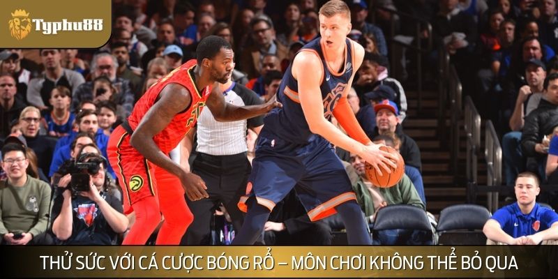 Thử sức với cá cược bóng rổ – Môn chơi không thể bỏ qua