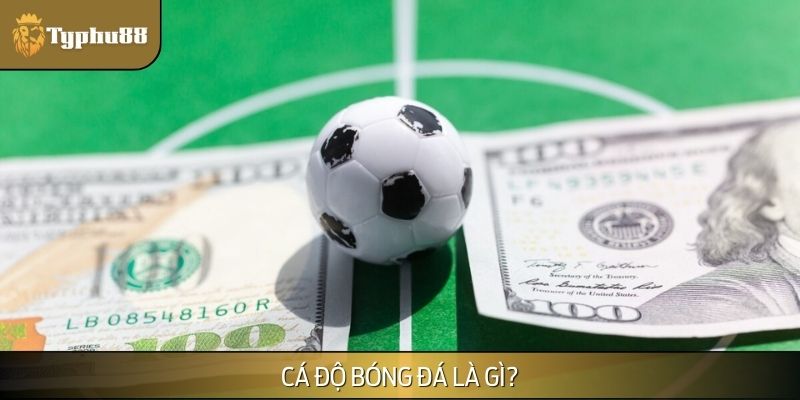 Hiểu gì về cá độ bóng đá trực tuyến?