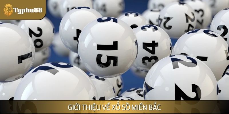 Đôi nét về xổ số miền bắc tại nhà cái uy tín