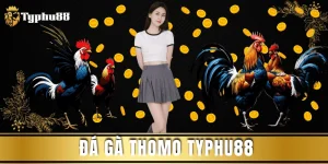 da-ga-thomo-Typhu88