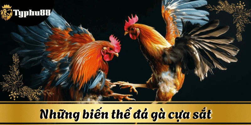 bien-the-da-ga-cua-sat