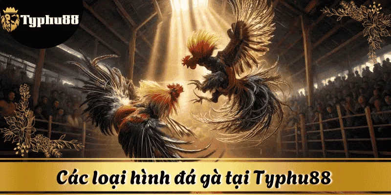 cac-hinh-thuc-da-ga-Typhu88