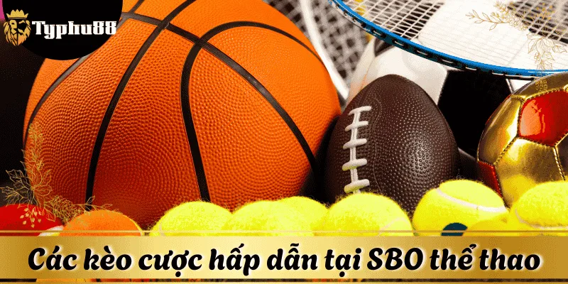 Các môn thể thao & kèo cược hấp dẫn tại SBO