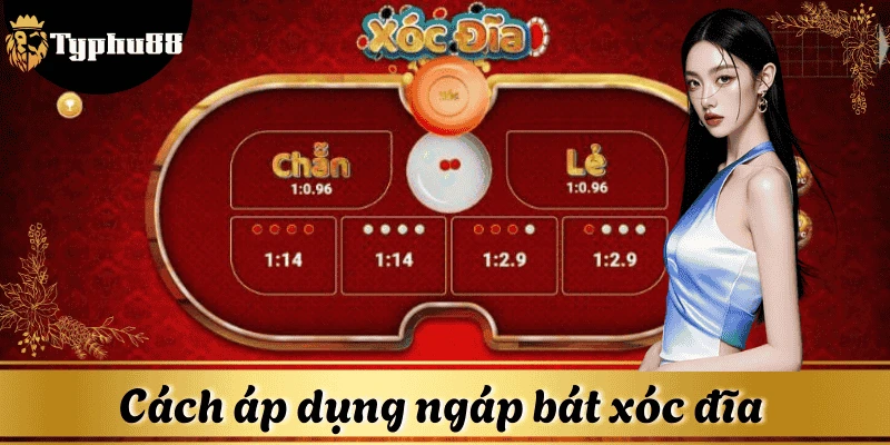 Kết hợp ngáp bát với lịch sử kết quả