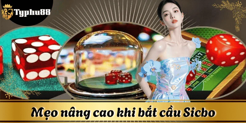 Mẹo nâng cao khi bắt cầu Sicbo tại Typhu88 dễ thắng