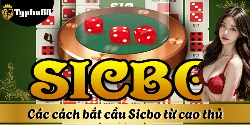 Các cách bắt cầu Sicbo phổ biến từ cao thủ