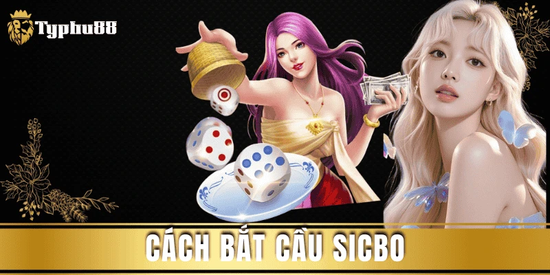 Cách bắt cầu Sicbo từ cao thủ làm chủ ván chơi
