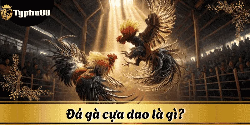 da-ga-cua-dao-la-gi