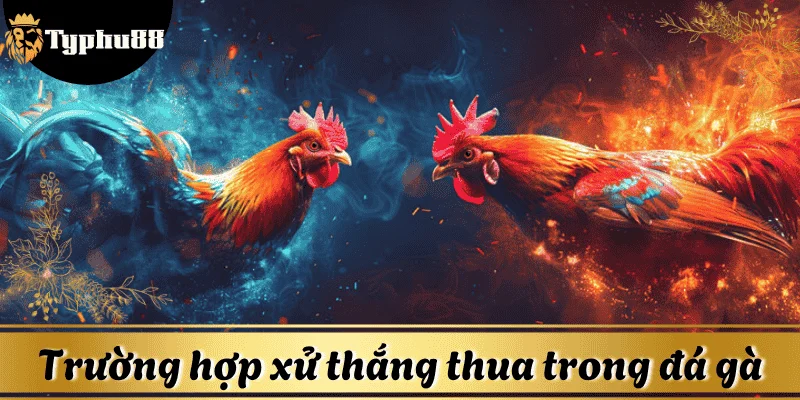 da-ga-thomo-truong-hop-thang-thua
