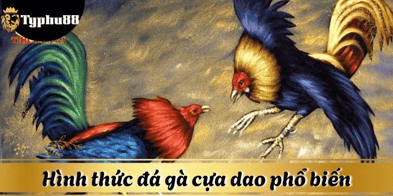 hinh-thuc-da-ga-cua-dao-Typhu88