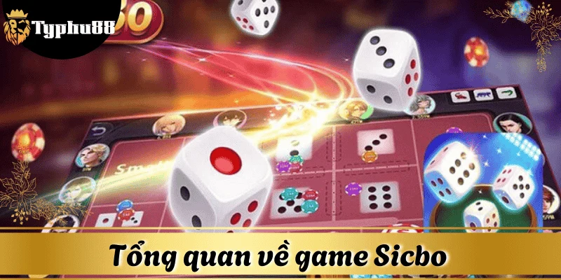 Tổng quan về game Sicbo & khái niệm cầu
