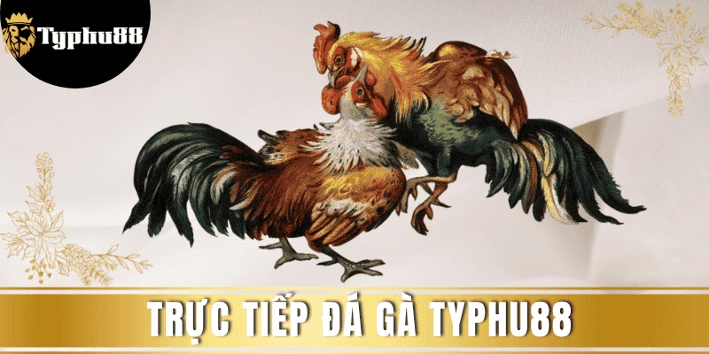 truc-tiep-da-ga-Typhhu88