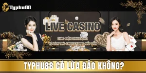 typhu88-co-lua-dao-khong