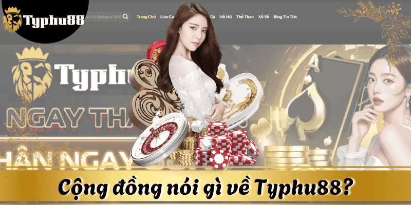 typhu88-co-lua-khong-review-cong-dong