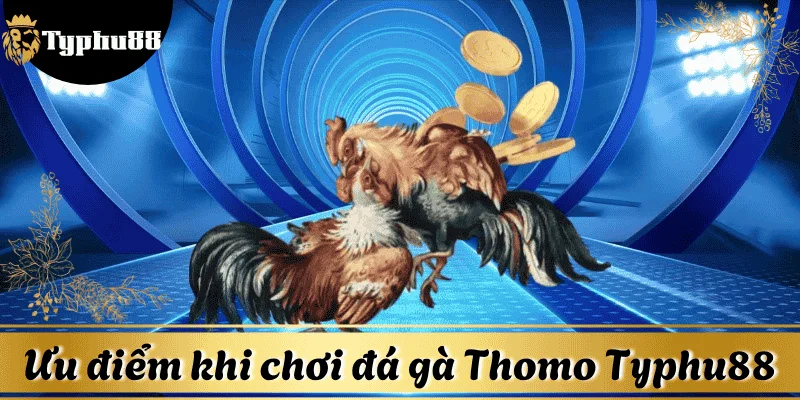 uu-diem-choi-da-ga-thomo-typhu88