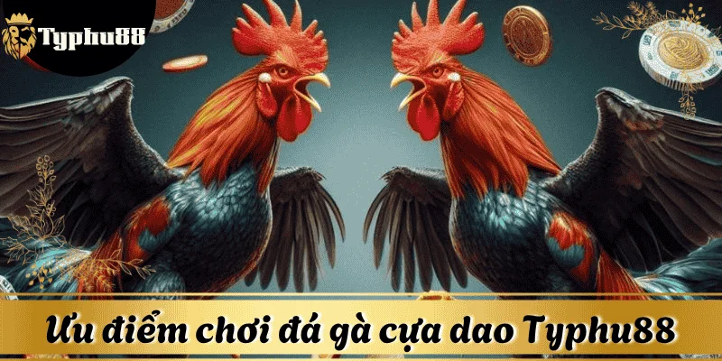 uu-diem-da-ga-cua-dao-Typhu88