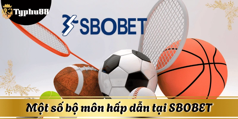 Các bộ môn thể thao hot