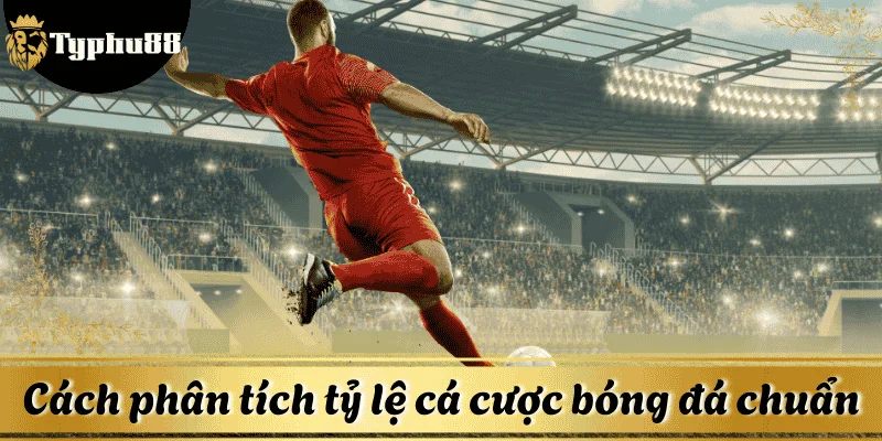 Cách phân tích tỷ lệ cá cược bóng đá chuẩn xác