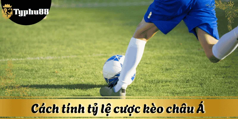Tỷ lệ cược kèo châu Á (Handicap Odds)