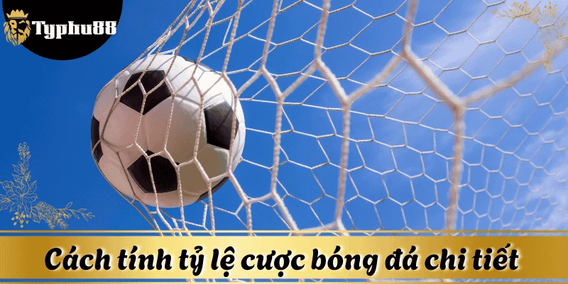 Cách tính tỷ lệ cược bóng đá chi tiết dễ hiểu