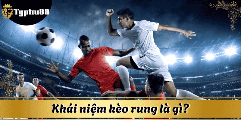 Thành viên trước khi đặt cược cần hiểu rõ kèo rung là gì